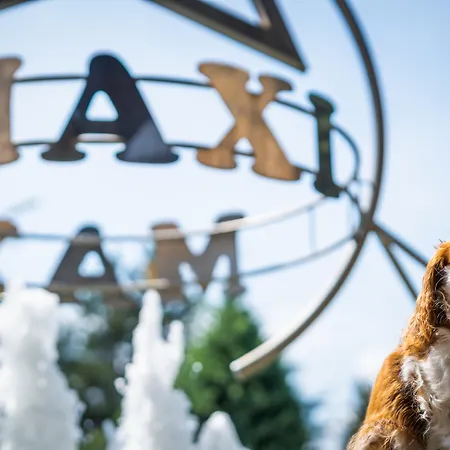Maxi Park & Отель 5*