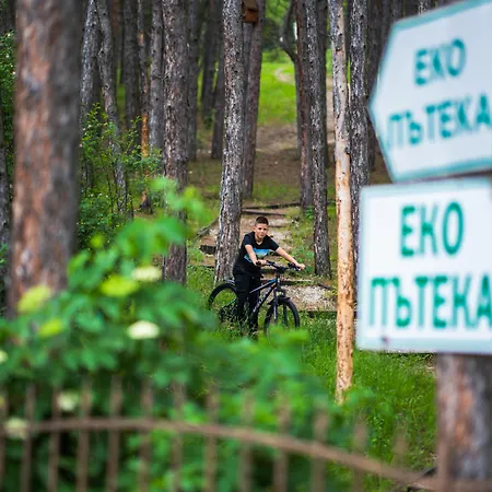 Отель Maxi Park & 5*