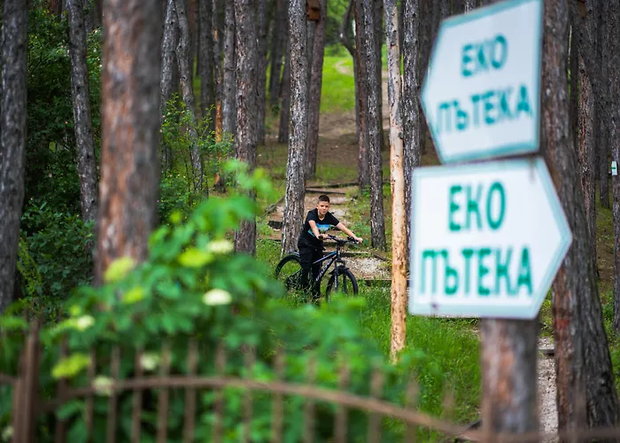 Hotel Maxi Park & 5*