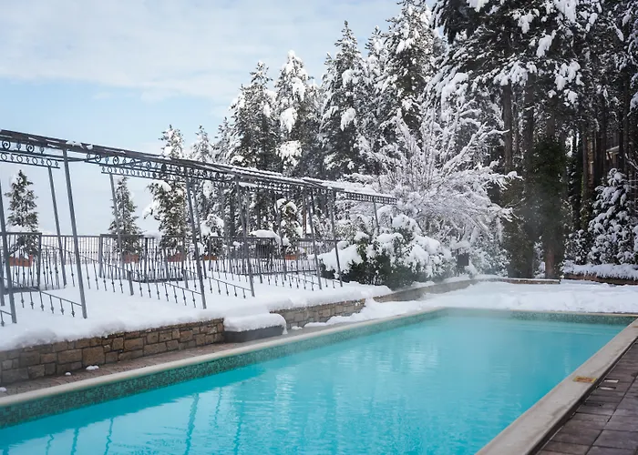 Maxi Park & Welingrad