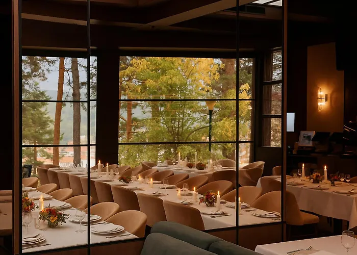 Maxi Park & Welingrad